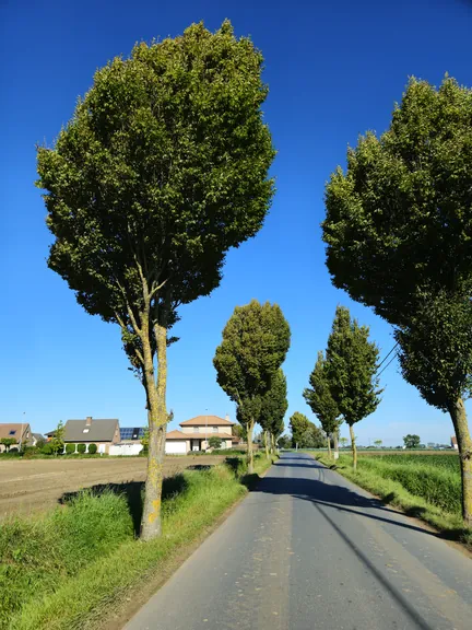 Rhodesgoed fiets- en wandel 2-daagse, Izegem (België)